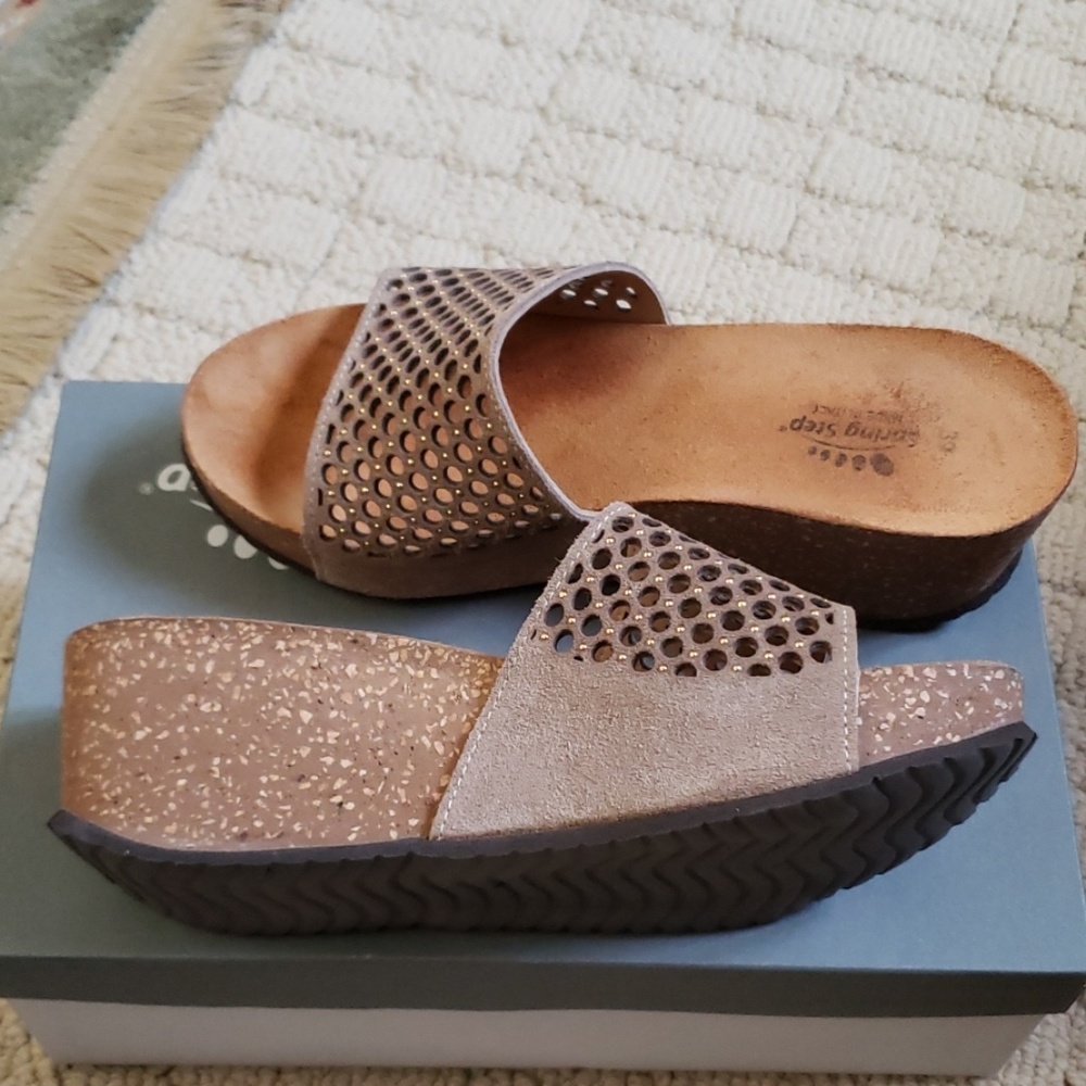 Spring step wedge - Picture 2 of 5